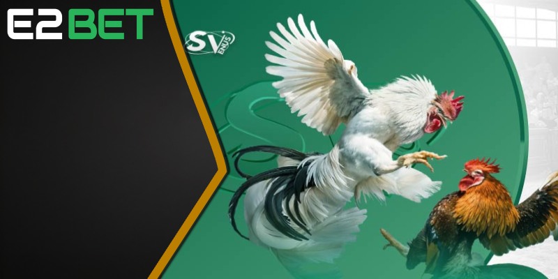 Đá gà E2BET cung cấp sảnh cược từ các nhà cung cấp uy tín